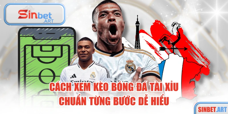 Cách Xem Kèo Bóng Đá Tài Xỉu Chuẩn Từng Bước Dễ Hiểu 11 Cách Xem Kèo Bóng Đá Tài Xỉu Chuẩn Từng Bước Dễ Hiểu