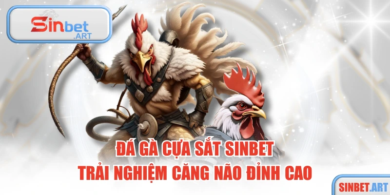 Đá Gà Cựa Sắt SINBET – Trải Nghiệm Căng Não Đỉnh Cao 7 Đá Gà Cựa Sắt SINBET – Trải Nghiệm Căng Não Đỉnh Cao